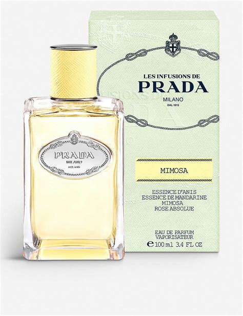 prada mimosa.